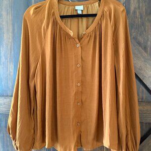 Beautiful Long Sleeve Top